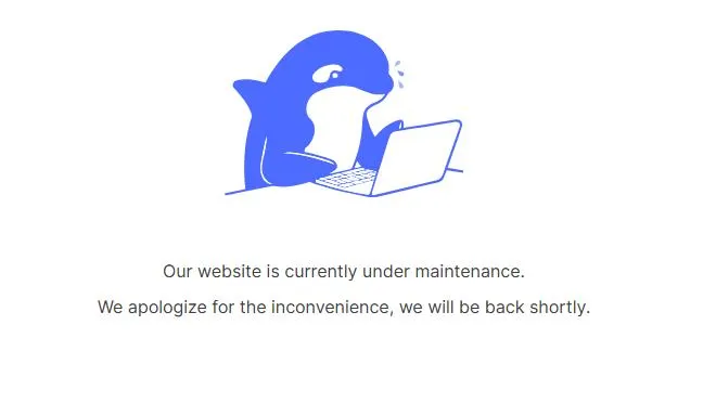 Is DeepSeek Down: How to Check DeepSeek's Status